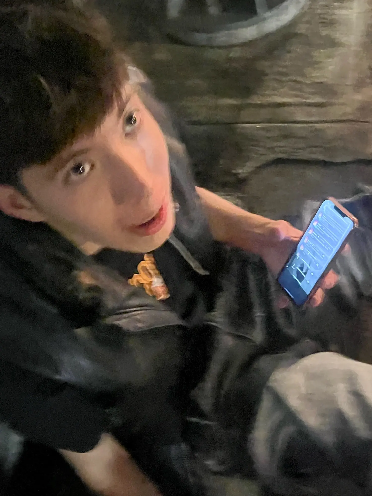 Protective Acrylic Case For Labubu V1/v2/v3  Transparent Portable Organizer Box Mystery Box Storage Case Display Bag photo review