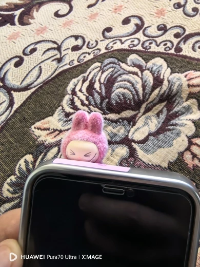 Silicone Suede Labubu Phone Case For Iphone 11 12 13 14 15 16pro Max Plus 16pro 15pro Diy Soft Brown Cover Coque Fall Prevention photo review