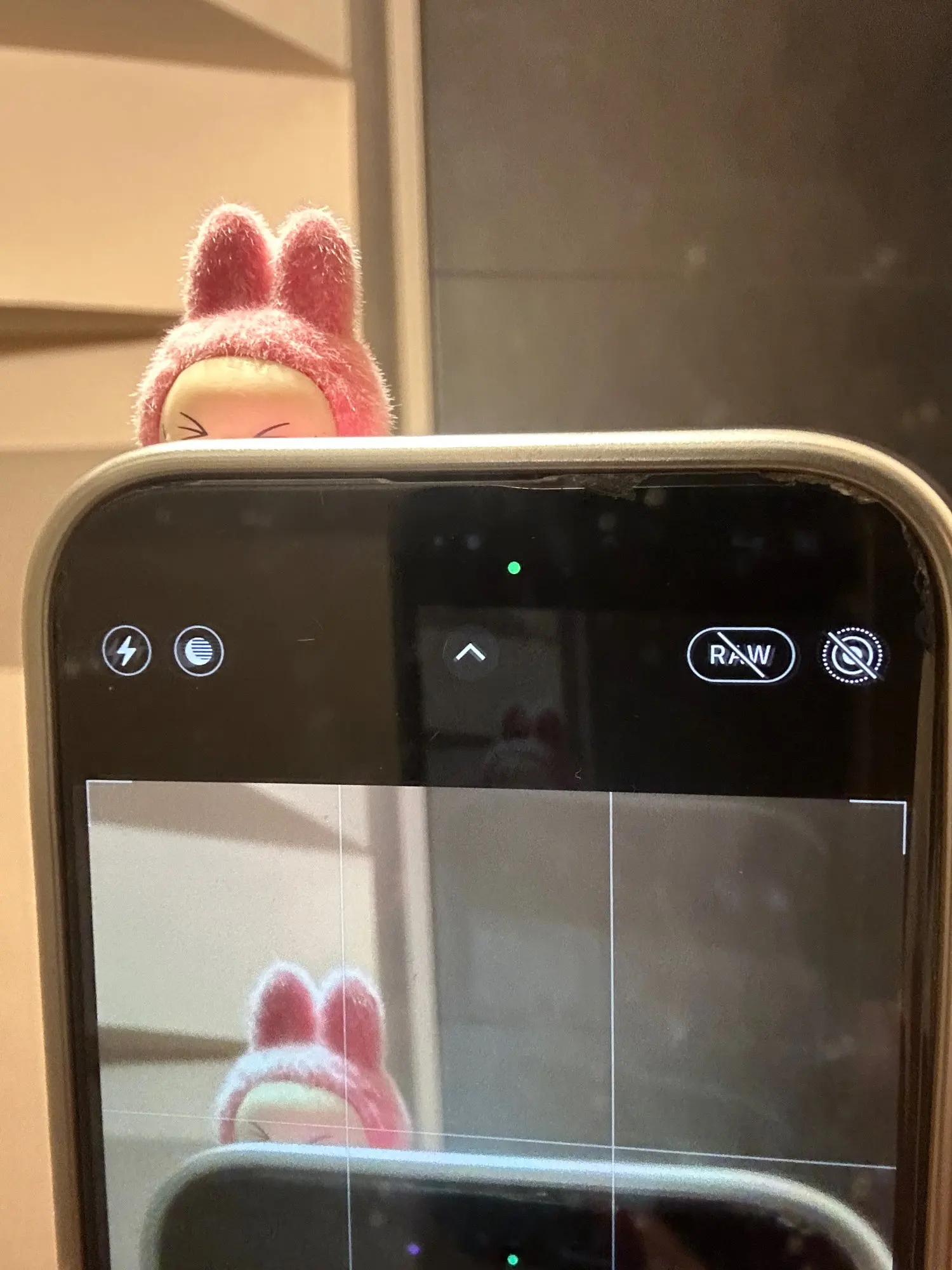 Silicone Suede Labubu Phone Case For Iphone 11 12 13 14 15 16pro Max Plus 16pro 15pro Diy Soft Brown Cover Coque Fall Prevention photo review