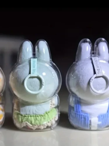 Protective Acrylic Case For Labubu V1/v2/v3  Transparent Portable Organizer Box Mystery Box Storage Case Display Bag photo review