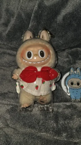 Protective Acrylic Case For Labubu V1/v2/v3  Transparent Portable Organizer Box Mystery Box Storage Case Display Bag photo review