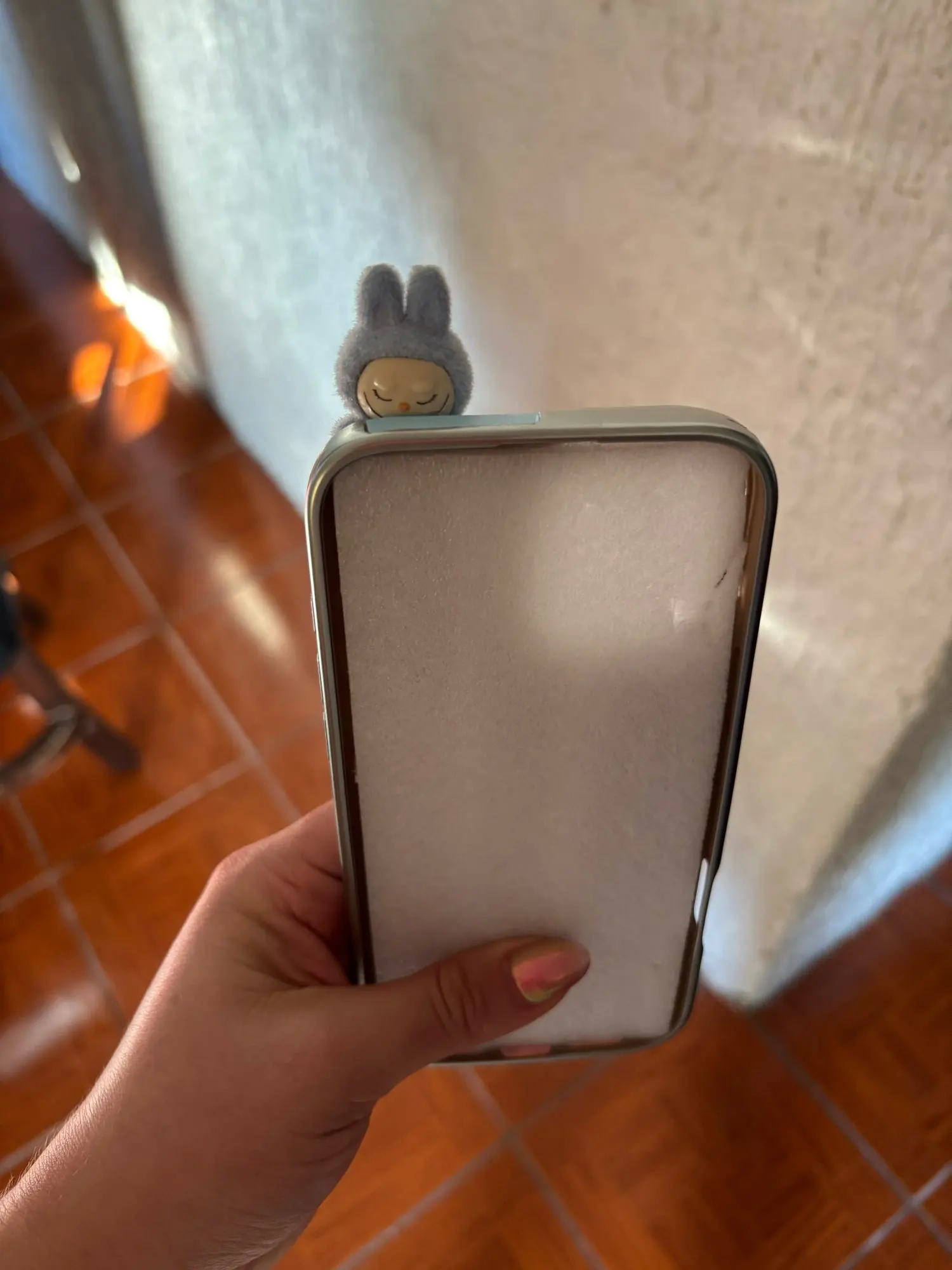 Silicone Suede Labubu Phone Case For Iphone 11 12 13 14 15 16pro Max Plus 16pro 15pro Diy Soft Brown Cover Coque Fall Prevention photo review