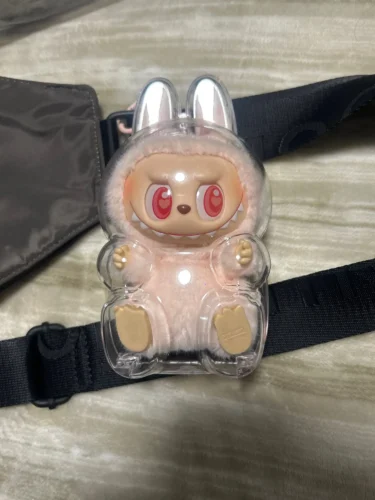 Protective Acrylic Case For Labubu V1/v2/v3  Transparent Portable Organizer Box Mystery Box Storage Case Display Bag photo review