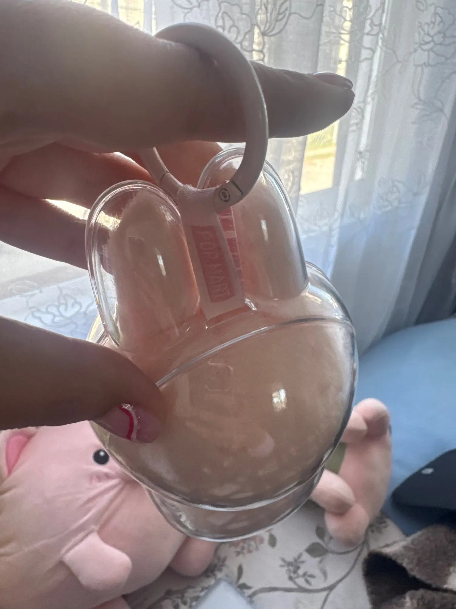 Protective Acrylic Case For Labubu V1/v2/v3  Transparent Portable Organizer Box Mystery Box Storage Case Display Bag photo review