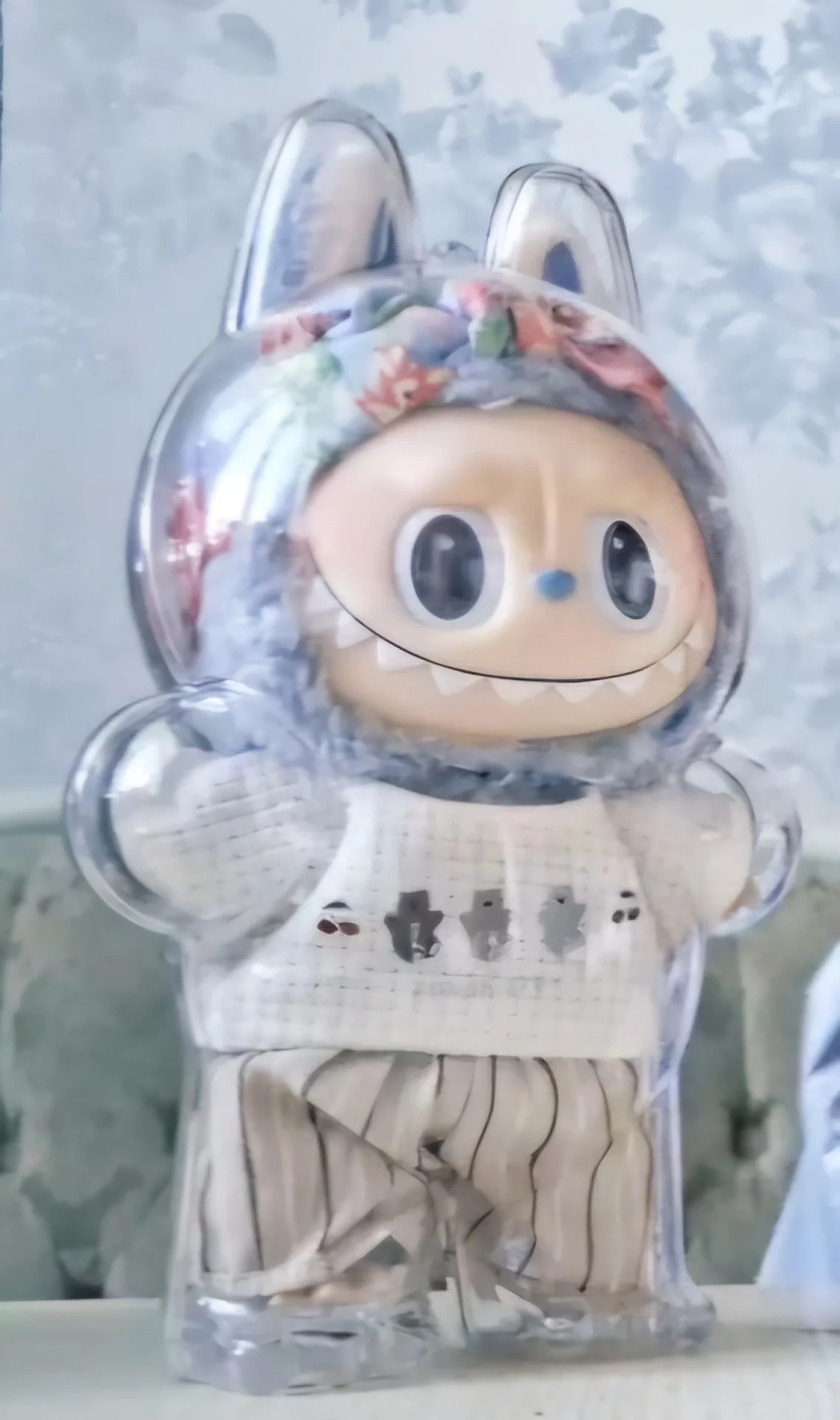 Protective Acrylic Case For Labubu V1/v2/v3  Transparent Portable Organizer Box Mystery Box Storage Case Display Bag photo review