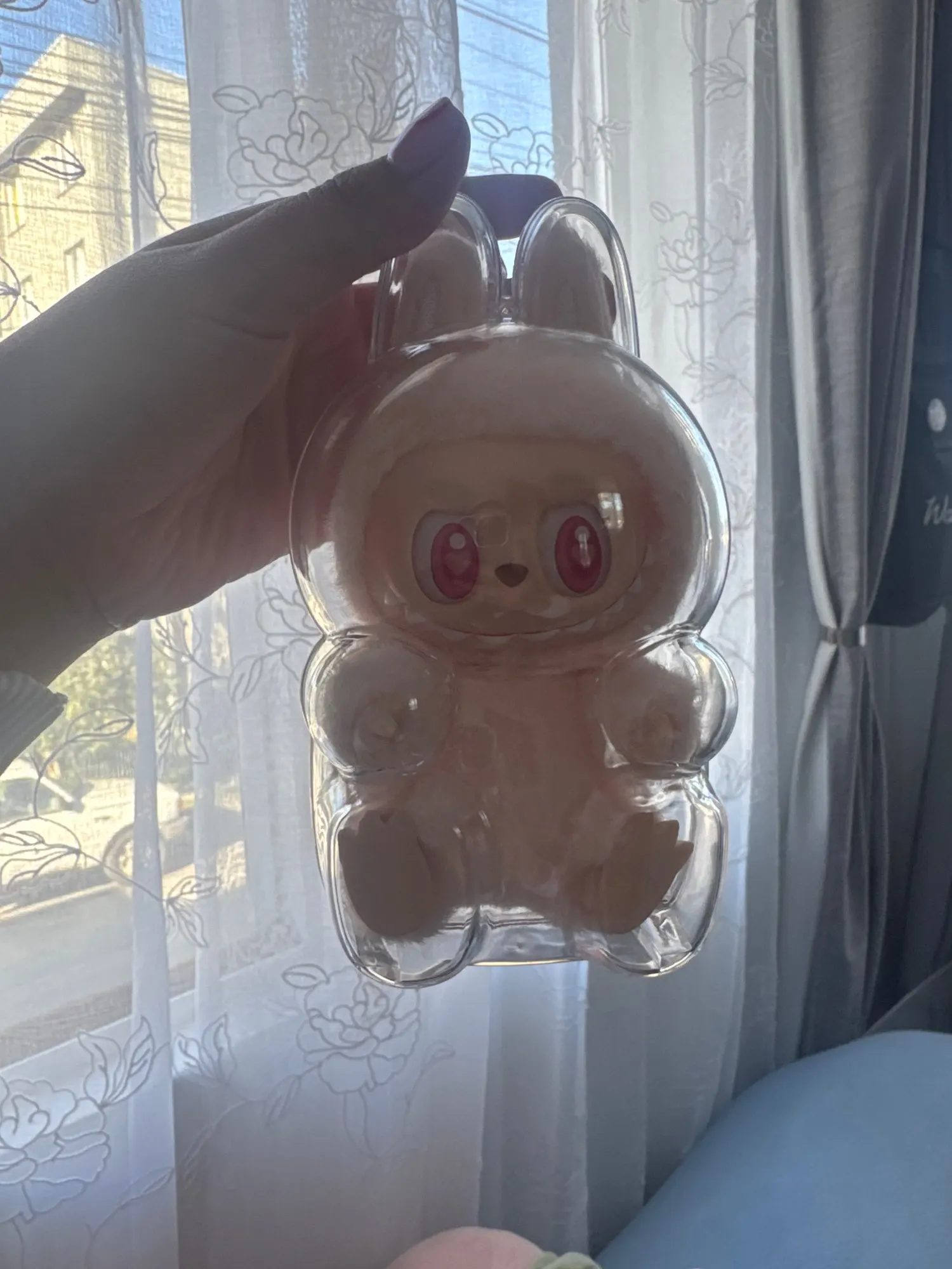 Protective Acrylic Case For Labubu V1/v2/v3  Transparent Portable Organizer Box Mystery Box Storage Case Display Bag photo review