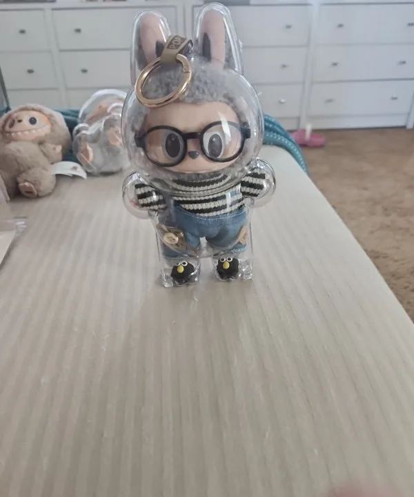 Protective Acrylic Case For Labubu V1/v2/v3  Transparent Portable Organizer Box Mystery Box Storage Case Display Bag photo review