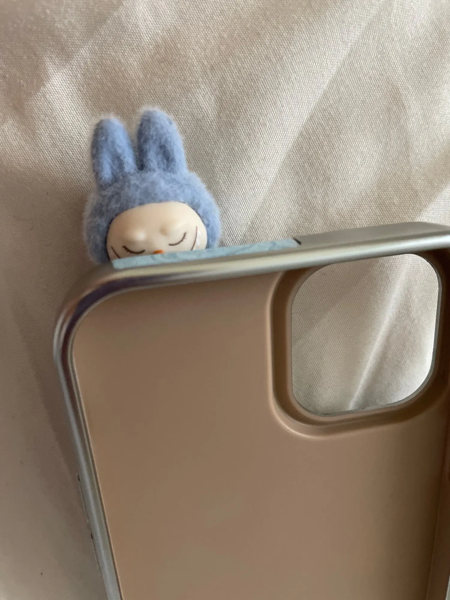 Silicone Suede Labubu Phone Case For Iphone 11 12 13 14 15 16pro Max Plus 16pro 15pro Diy Soft Brown Cover Coque Fall Prevention photo review