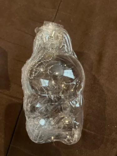 Protective Acrylic Case For Labubu V1/v2/v3  Transparent Portable Organizer Box Mystery Box Storage Case Display Bag photo review