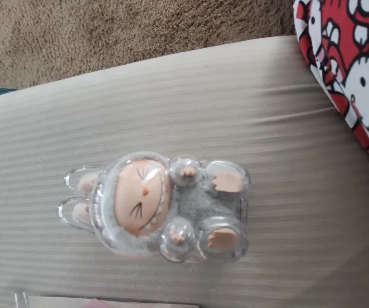 Protective Acrylic Case For Labubu V1/v2/v3  Transparent Portable Organizer Box Mystery Box Storage Case Display Bag photo review