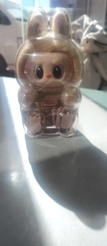 Protective Acrylic Case For Labubu V1/v2/v3  Transparent Portable Organizer Box Mystery Box Storage Case Display Bag photo review