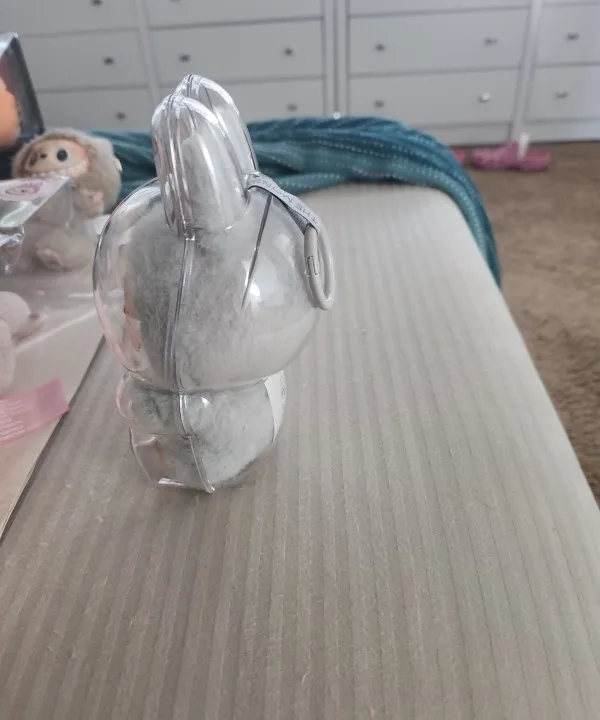 Protective Acrylic Case For Labubu V1/v2/v3  Transparent Portable Organizer Box Mystery Box Storage Case Display Bag photo review