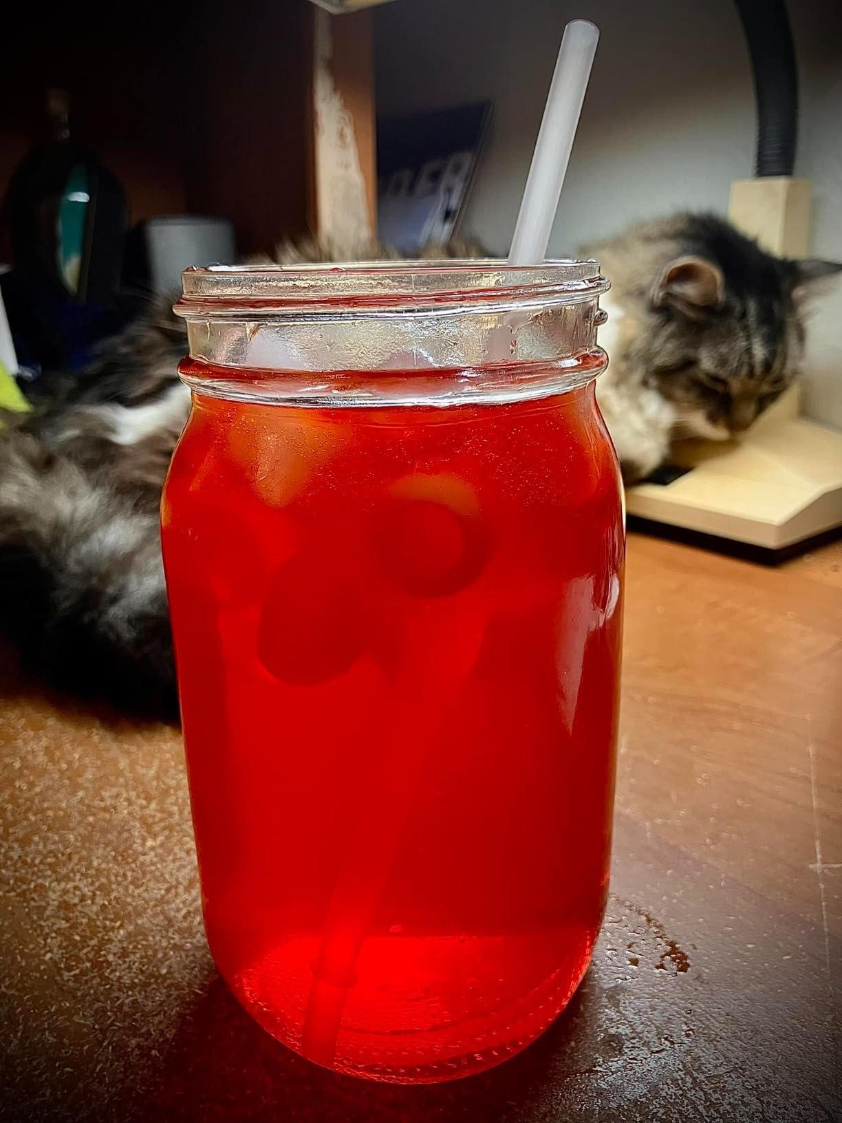 Hicon Ice Maker Machine 16M 16AL 26YB Home Ice Machine Dormitory Mini Ice Maker (16M With Handle) 15KG/24h photo review