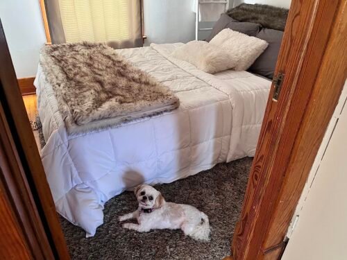 Intex 64447ED Dura-Beam Deluxe Ultra Plush Air Mattress with Headboard: Fiber-Tech – Queen Size – Built-in Electric Pump – 18in Bed Height – 600lb Weight Capacity photo review