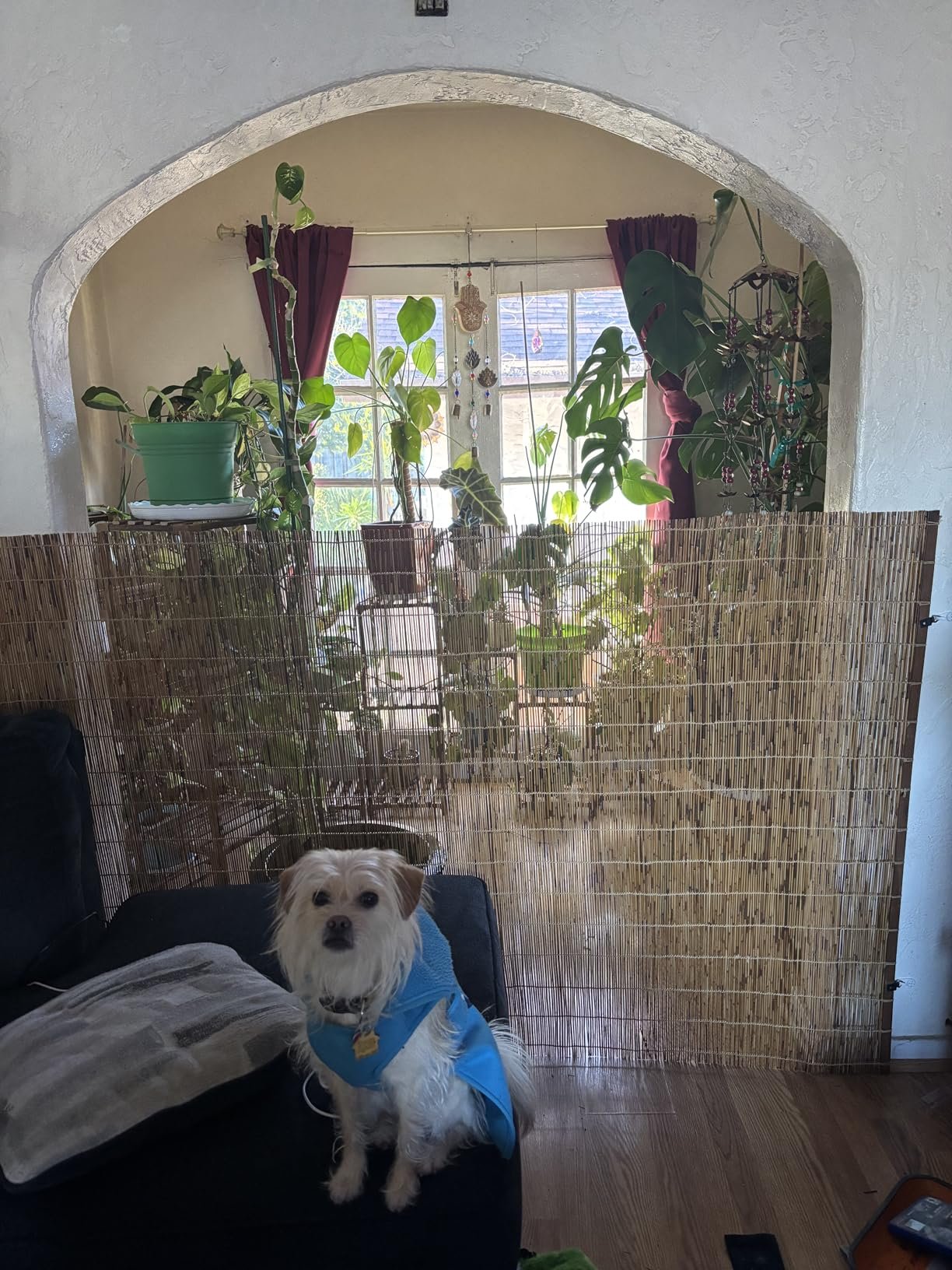 VTEG Bidai Kayu (4feet width) Wooden Blind Outdoor Blind Meranti Wood photo review