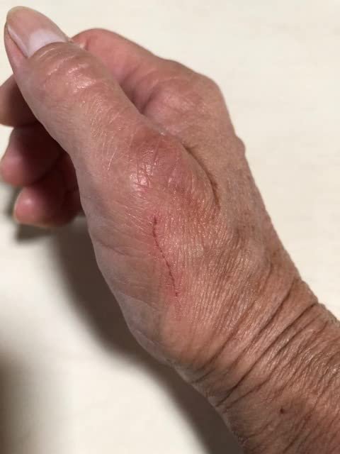 Cosori Electric Kettle. No Plastic Contact With Water. Wide Mouth For Easy Cleaning. Auto Shut Off. 1.7L Tea Kettle & Hot Water Boiler. Water Heater & Teapot. Borosilicate Glass. Black. 1500W photo review