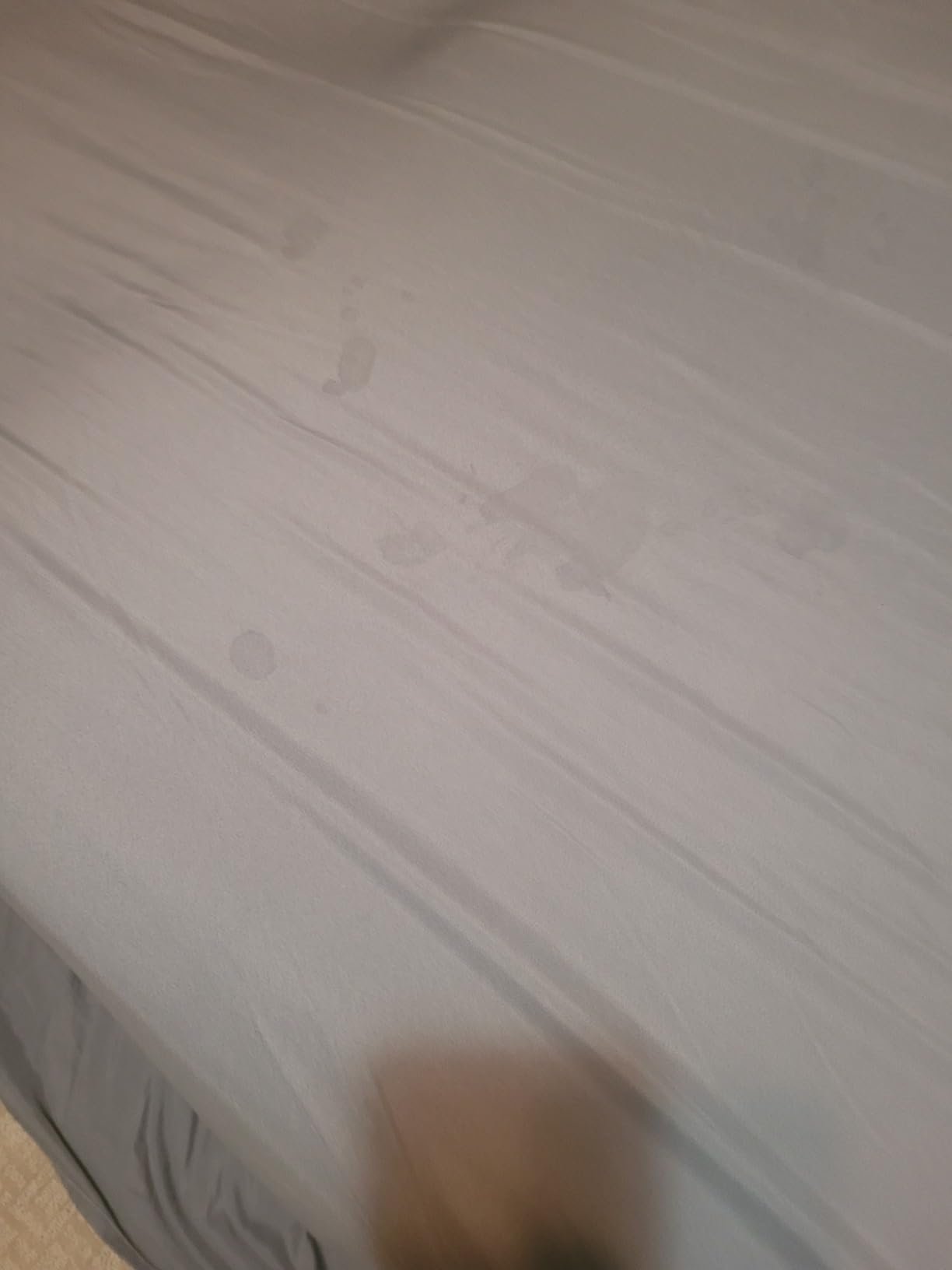 Queen Size 4 Piece Sheet Set - Comfy Breathable & Cooling Bed Sheets Set - Hotel Luxury Bedding for Women. Men. Kids. Teens. Boys & Girls - Deep Pockets. Soft and Wrinkle Free - Oeko-Tex - Dark Grey photo review