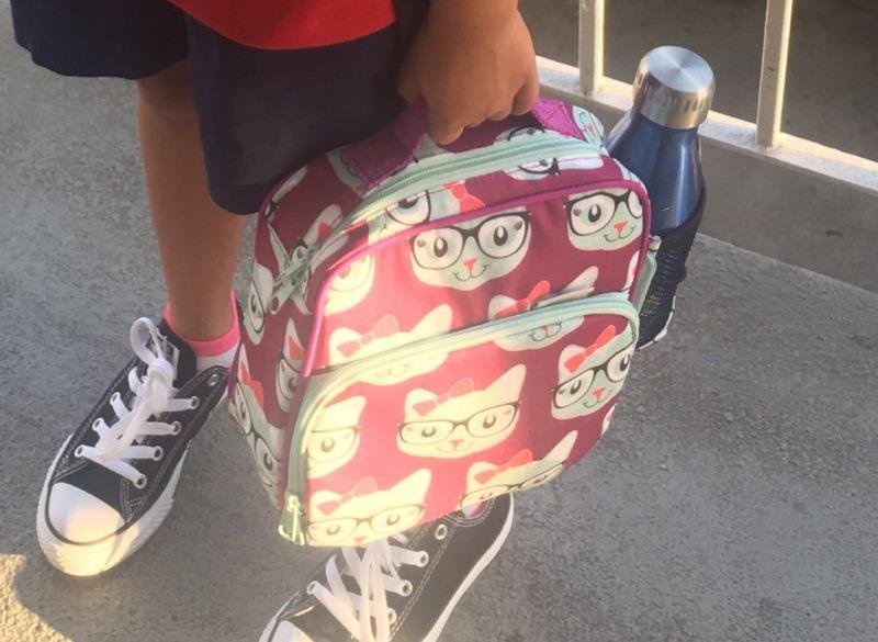 Omie OmieBox Bento Box for Kids - Insulated Lunch Box with Leak Proof Food Jar - 3 Compartments. 2 Temperature Zones - (Meadow) photo review