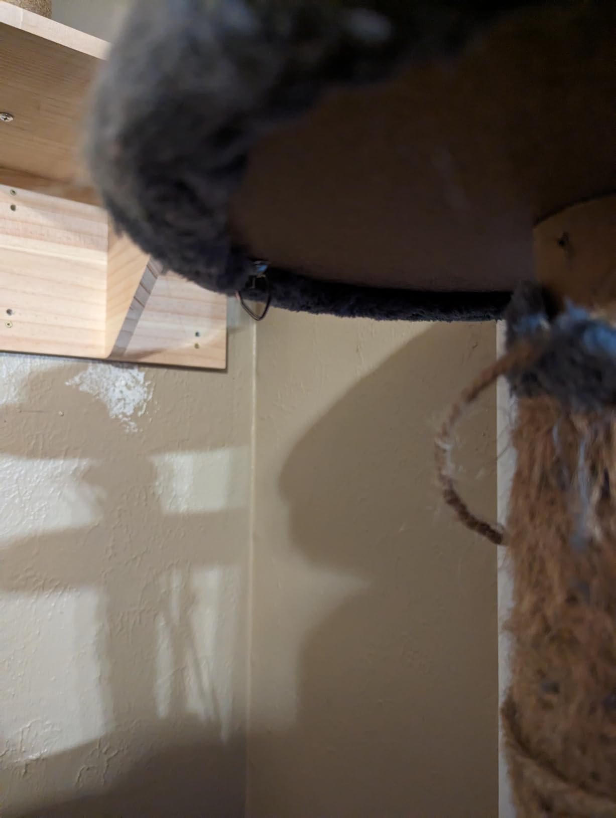 Yaheetech 54in Cat Tree. Multi-Level Cat Tower with Spacious Kitten-ear Perch. 2 Cozy Caves. Scratching Posts. Climbing Ladder. 2 Plush Balls. Durable Pet House Furniture for Indoor Kittens. Dark Gray photo review