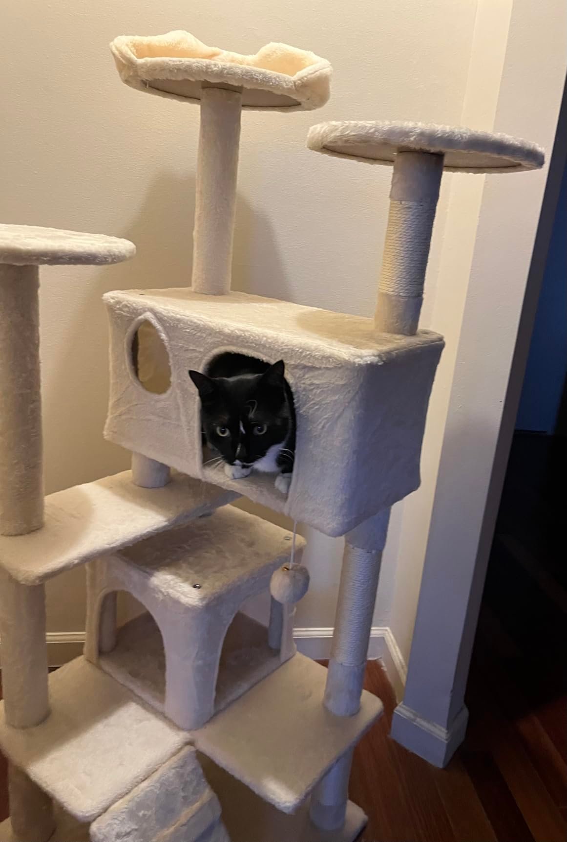 Yaheetech 54in Cat Tree. Multi-Level Cat Tower with Spacious Kitten-ear Perch. 2 Cozy Caves. Scratching Posts. Climbing Ladder. 2 Plush Balls. Durable Pet House Furniture for Indoor Kittens. Dark Gray photo review