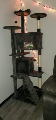 Yaheetech 54in Cat Tree. Multi-Level Cat Tower with Spacious Kitten-ear Perch. 2 Cozy Caves. Scratching Posts. Climbing Ladder. 2 Plush Balls. Durable Pet House Furniture for Indoor Kittens. Dark Gray photo review
