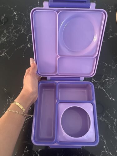 Omie OmieBox Bento Box for Kids - Insulated Lunch Box with Leak Proof Food Jar - 3 Compartments. 2 Temperature Zones - (Meadow) photo review
