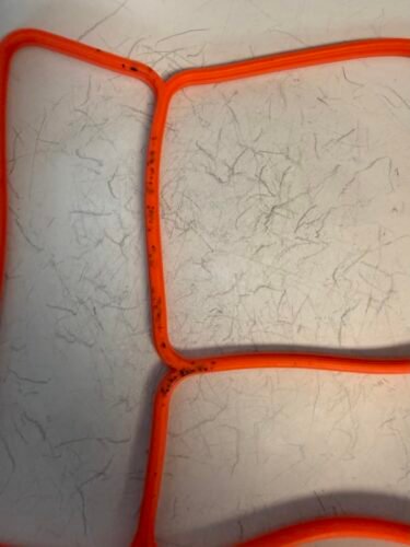 Omie OmieBox Bento Box for Kids - Insulated Lunch Box with Leak Proof Food Jar - 3 Compartments. 2 Temperature Zones - (Meadow) photo review