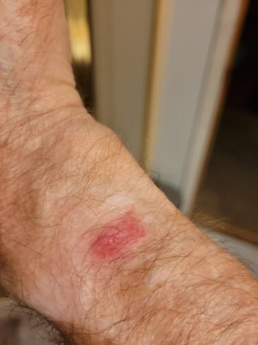 Fitbit Inspire 3 Health &-Fitness-Tracker with Stress Management. Workout Intensity. Sleep Tracking. 24/7 Heart Rate and more. Midnight Zen/Black One Size (S & L Bands Included) photo review