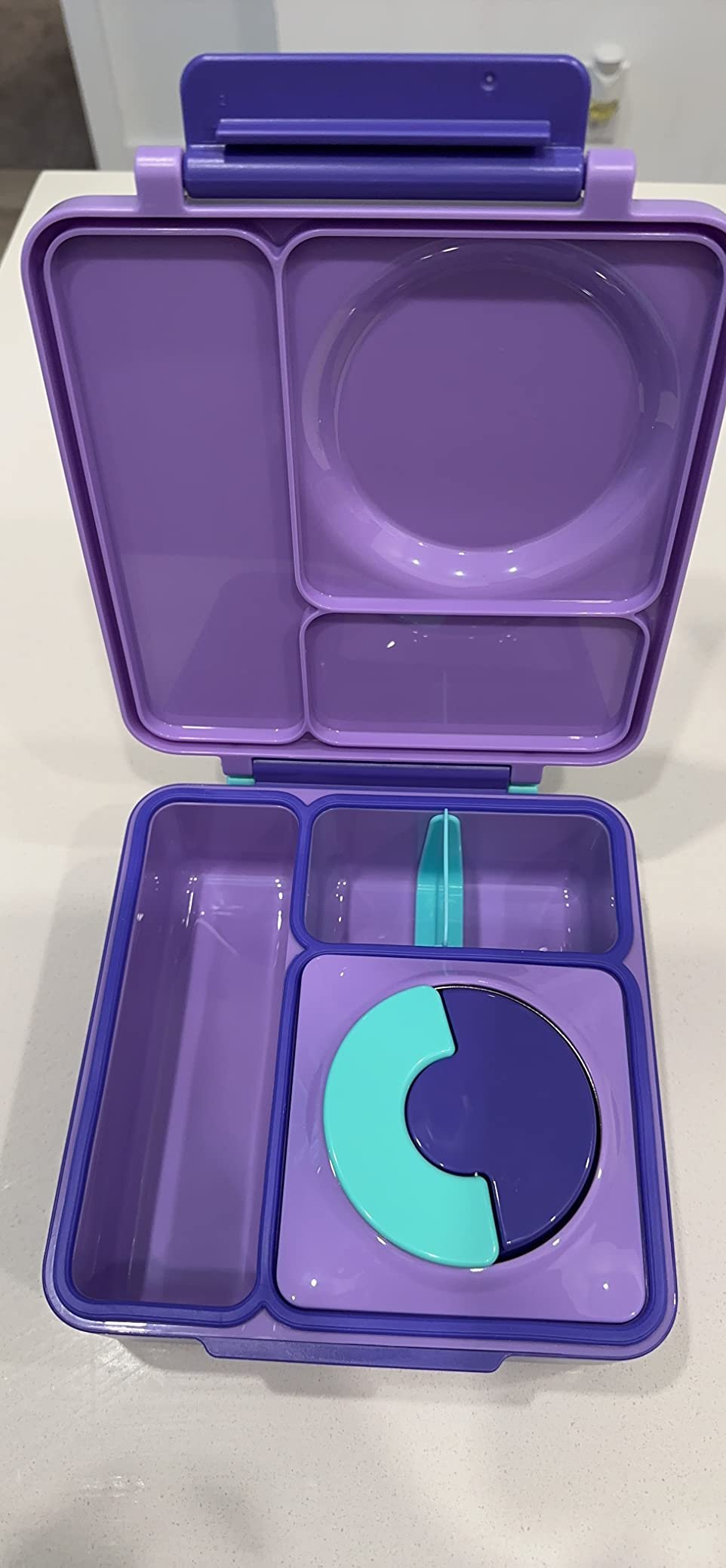 Omie OmieBox Bento Box for Kids - Insulated Lunch Box with Leak Proof Food Jar - 3 Compartments. 2 Temperature Zones - (Meadow) photo review