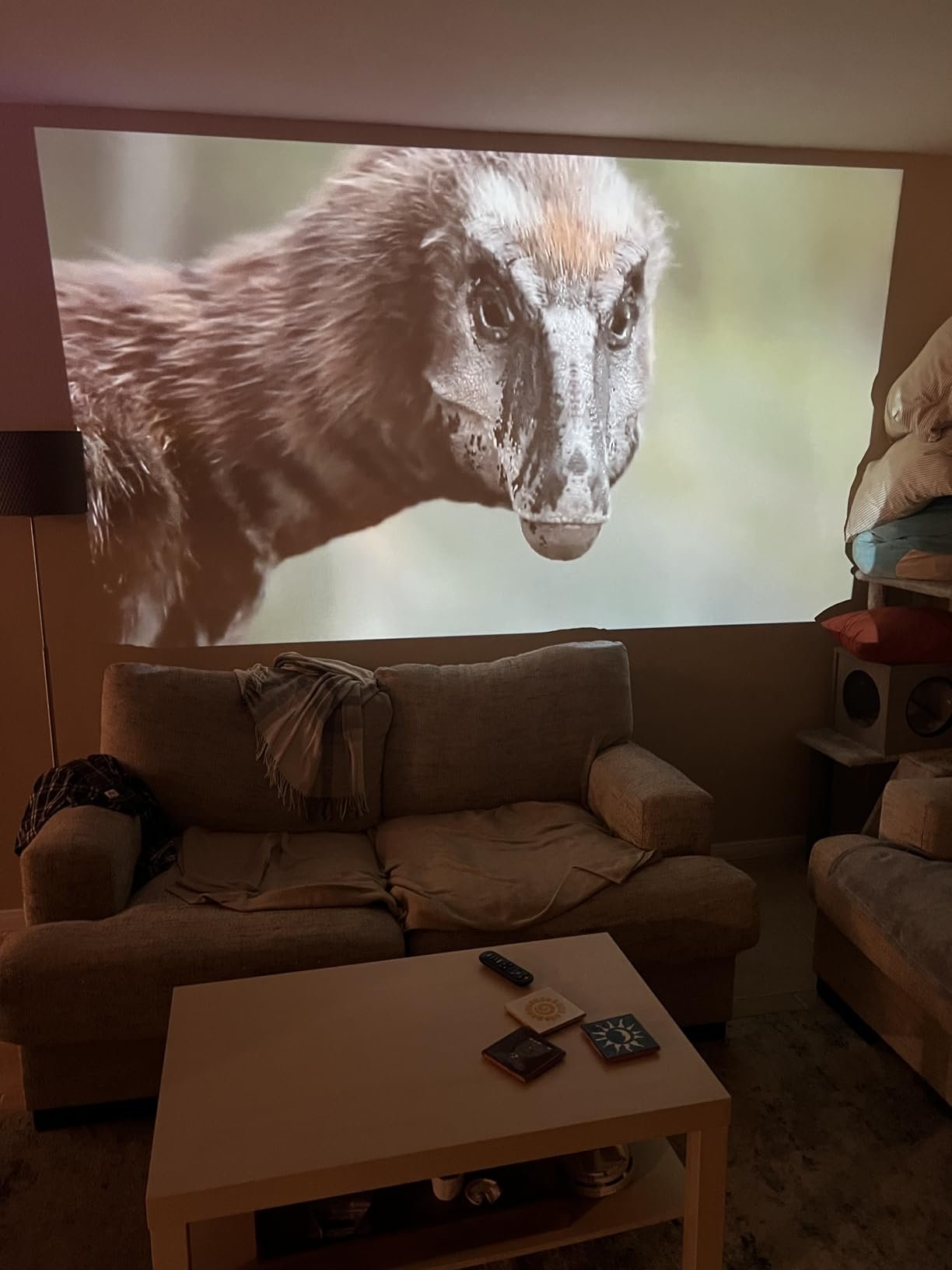 Official Licensed Google TV Smart Projector. HAPPRUN 4K UHD Home Theater with Dolby Sound. Wi-Fi & Bluetooth. Built-in Streaming Apps. Compatible with Games Consoles & Smartphone. Indoor & Outdoor Use photo review