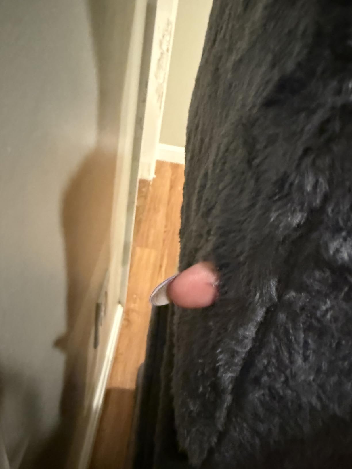 Yaheetech 54in Cat Tree. Multi-Level Cat Tower with Spacious Kitten-ear Perch. 2 Cozy Caves. Scratching Posts. Climbing Ladder. 2 Plush Balls. Durable Pet House Furniture for Indoor Kittens. Dark Gray photo review