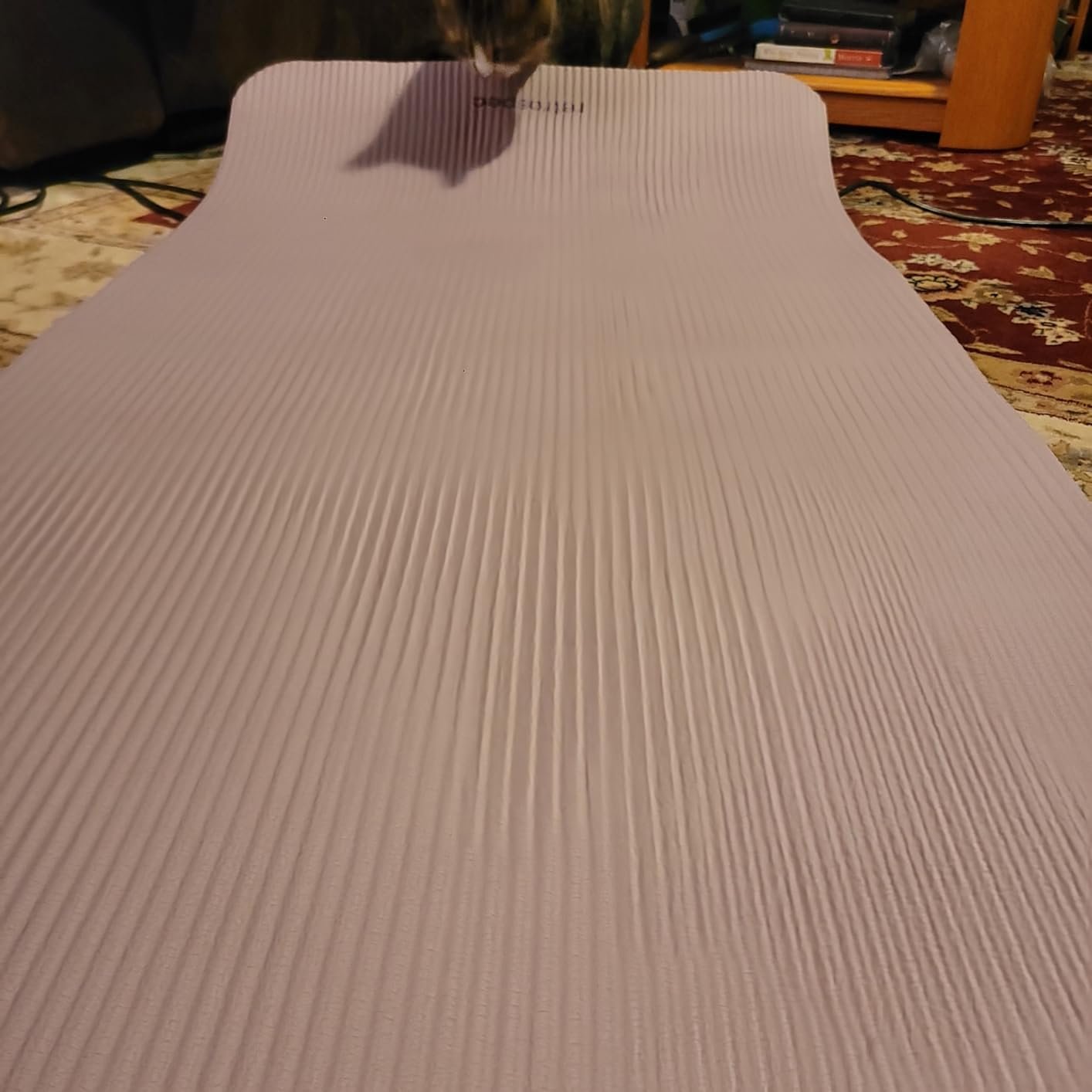 Retrospec Solana Yoga Mat 1 Thick w/Nylon Strap for Men & Women - Non Slip Exercise Mat for Home Yoga. Pilates. Stretching. Floor & Fitness Workouts photo review