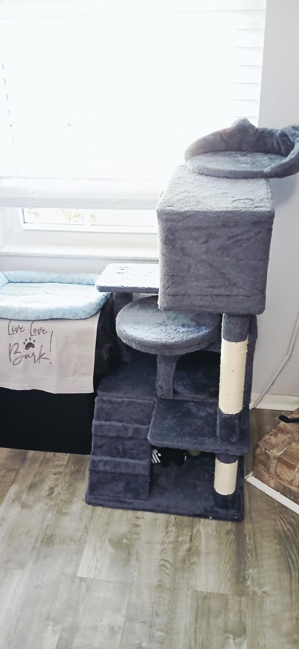 Yaheetech 54in Cat Tree. Multi-Level Cat Tower with Spacious Kitten-ear Perch. 2 Cozy Caves. Scratching Posts. Climbing Ladder. 2 Plush Balls. Durable Pet House Furniture for Indoor Kittens. Dark Gray photo review