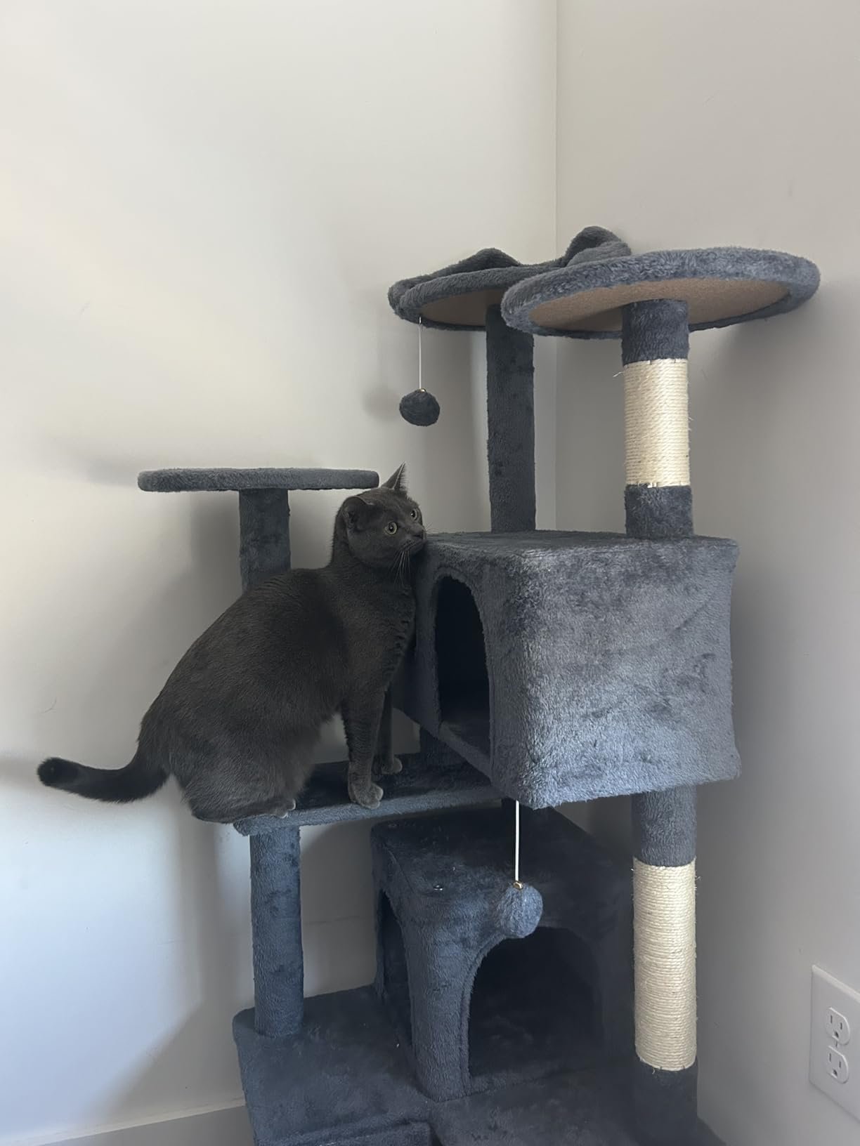 Yaheetech 54in Cat Tree. Multi-Level Cat Tower with Spacious Kitten-ear Perch. 2 Cozy Caves. Scratching Posts. Climbing Ladder. 2 Plush Balls. Durable Pet House Furniture for Indoor Kittens. Dark Gray photo review