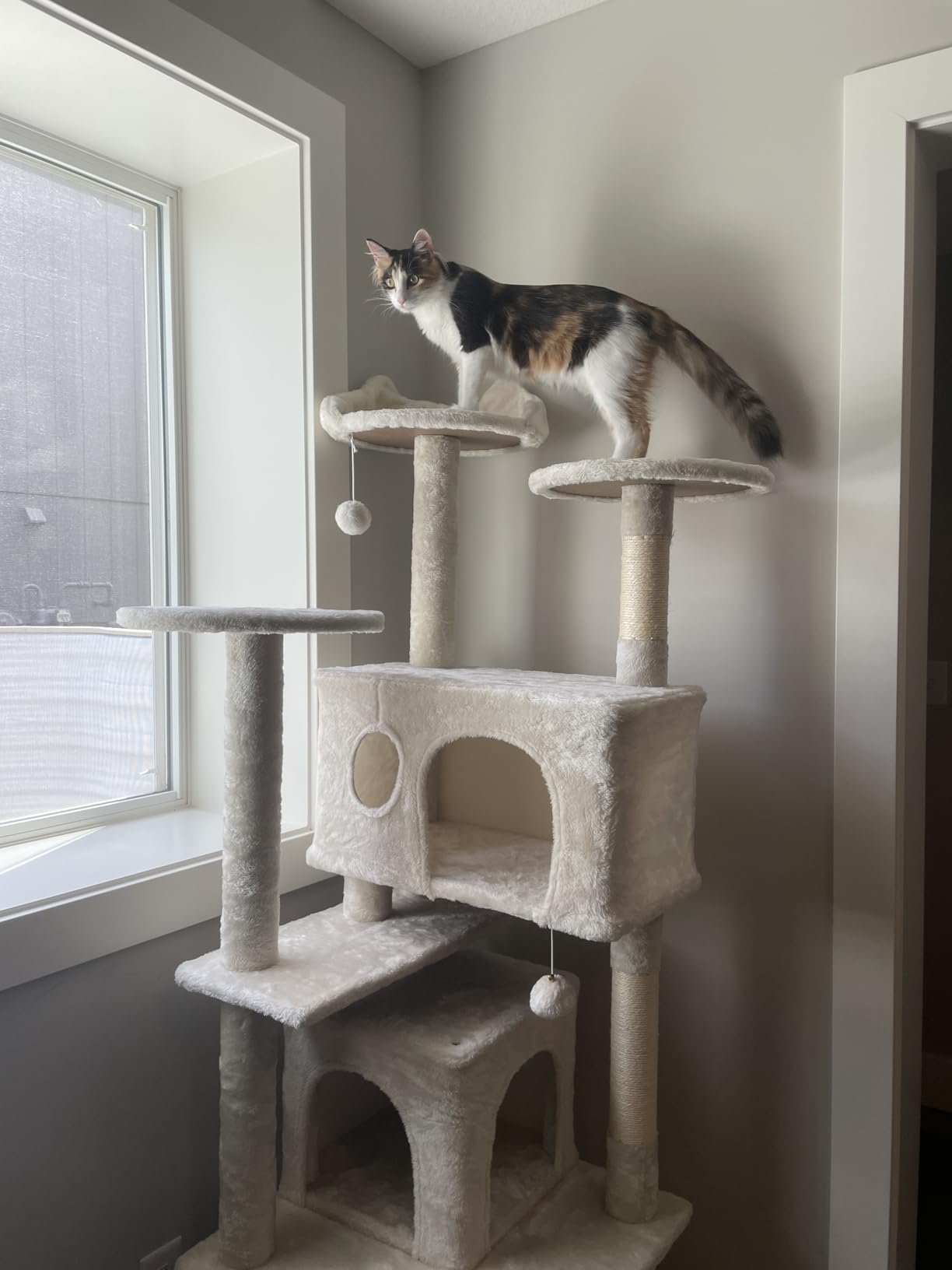 Yaheetech 54in Cat Tree. Multi-Level Cat Tower with Spacious Kitten-ear Perch. 2 Cozy Caves. Scratching Posts. Climbing Ladder. 2 Plush Balls. Durable Pet House Furniture for Indoor Kittens. Dark Gray photo review