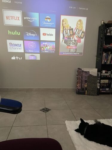 Roku Streaming Stick 4K - HDR & Dolby Vision Roku Streaming Device for TV with Voice Remote & Long-Range Wi-Fi - Free & Live TV photo review