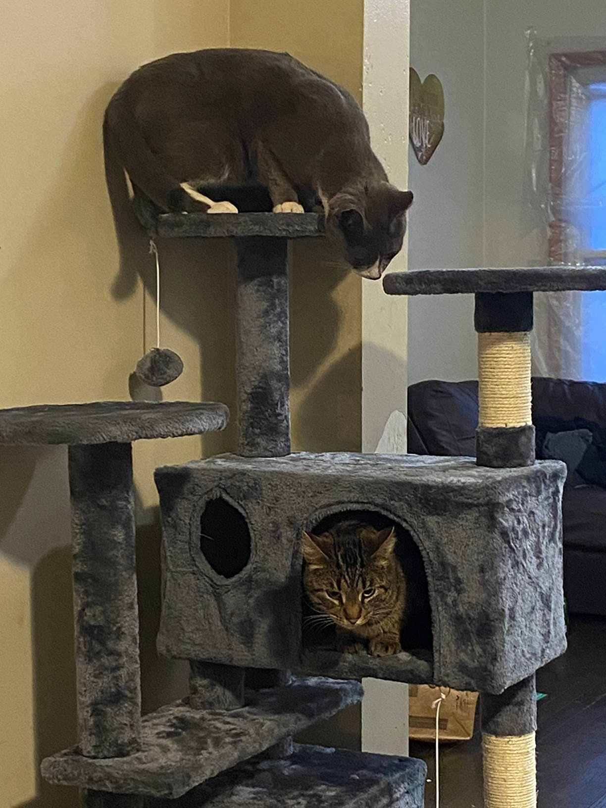 Yaheetech 54in Cat Tree. Multi-Level Cat Tower with Spacious Kitten-ear Perch. 2 Cozy Caves. Scratching Posts. Climbing Ladder. 2 Plush Balls. Durable Pet House Furniture for Indoor Kittens. Dark Gray photo review