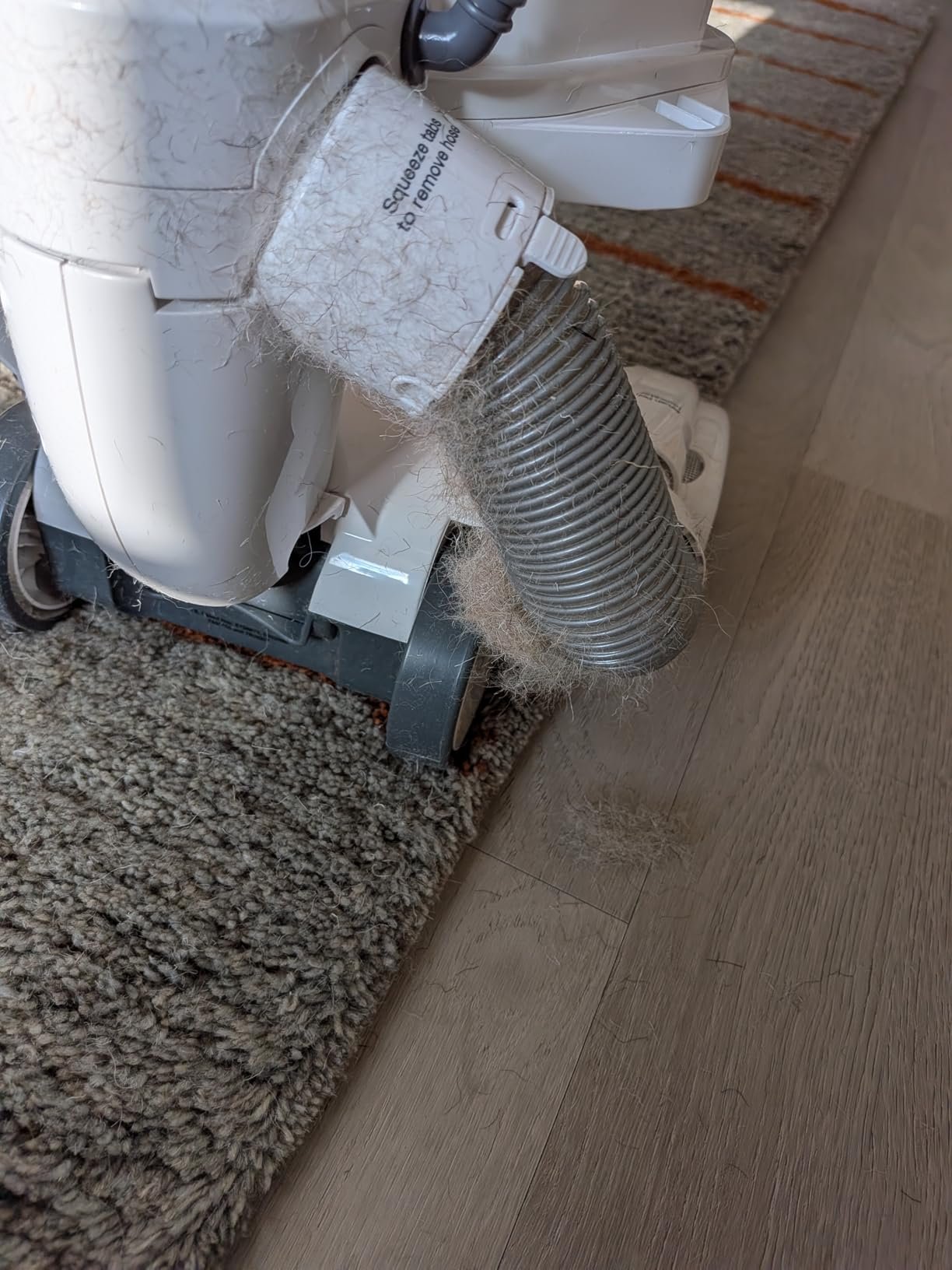 Shark Upright Vacuum. Navigator Lift-Away Deluxe with Large Dust Cup Capacity. HEPA Filter. Swivel Steering. Upholstery Tool & Crevice Tool. Blue. NV360 photo review