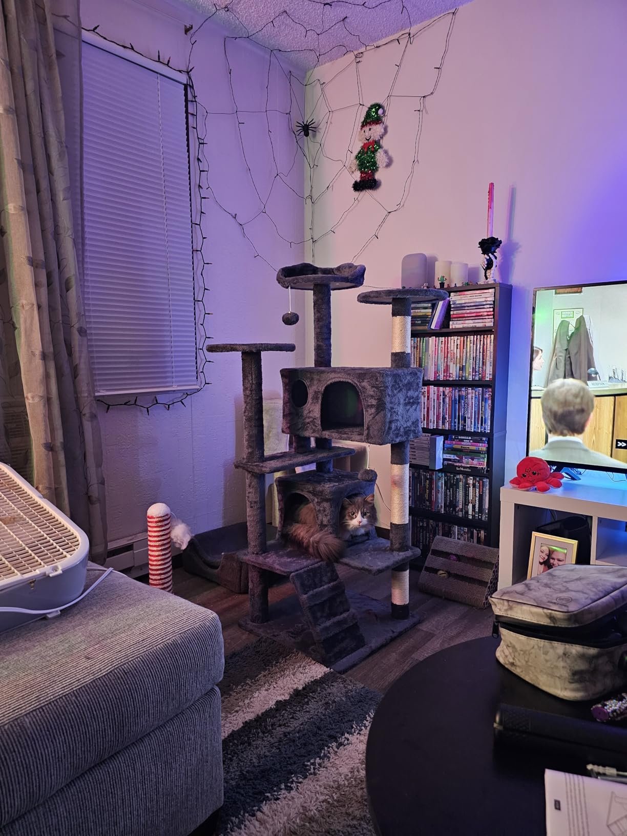 Yaheetech 54in Cat Tree. Multi-Level Cat Tower with Spacious Kitten-ear Perch. 2 Cozy Caves. Scratching Posts. Climbing Ladder. 2 Plush Balls. Durable Pet House Furniture for Indoor Kittens. Dark Gray photo review