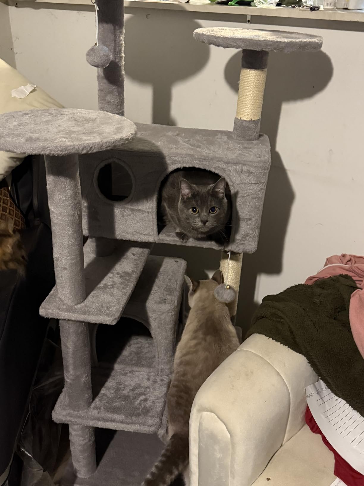 Yaheetech 54in Cat Tree. Multi-Level Cat Tower with Spacious Kitten-ear Perch. 2 Cozy Caves. Scratching Posts. Climbing Ladder. 2 Plush Balls. Durable Pet House Furniture for Indoor Kittens. Dark Gray photo review