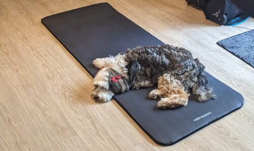 Retrospec Solana Yoga Mat 1 Thick w/Nylon Strap for Men & Women - Non Slip Exercise Mat for Home Yoga. Pilates. Stretching. Floor & Fitness Workouts photo review