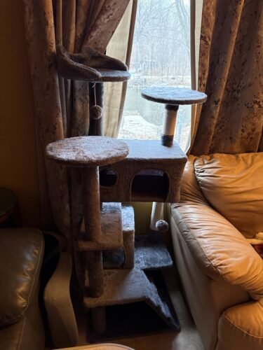 Yaheetech 54in Cat Tree. Multi-Level Cat Tower with Spacious Kitten-ear Perch. 2 Cozy Caves. Scratching Posts. Climbing Ladder. 2 Plush Balls. Durable Pet House Furniture for Indoor Kittens. Dark Gray photo review