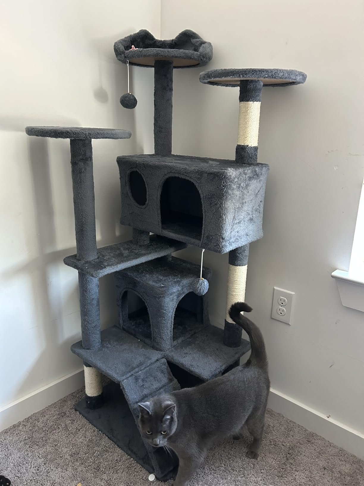 Yaheetech 54in Cat Tree. Multi-Level Cat Tower with Spacious Kitten-ear Perch. 2 Cozy Caves. Scratching Posts. Climbing Ladder. 2 Plush Balls. Durable Pet House Furniture for Indoor Kittens. Dark Gray photo review
