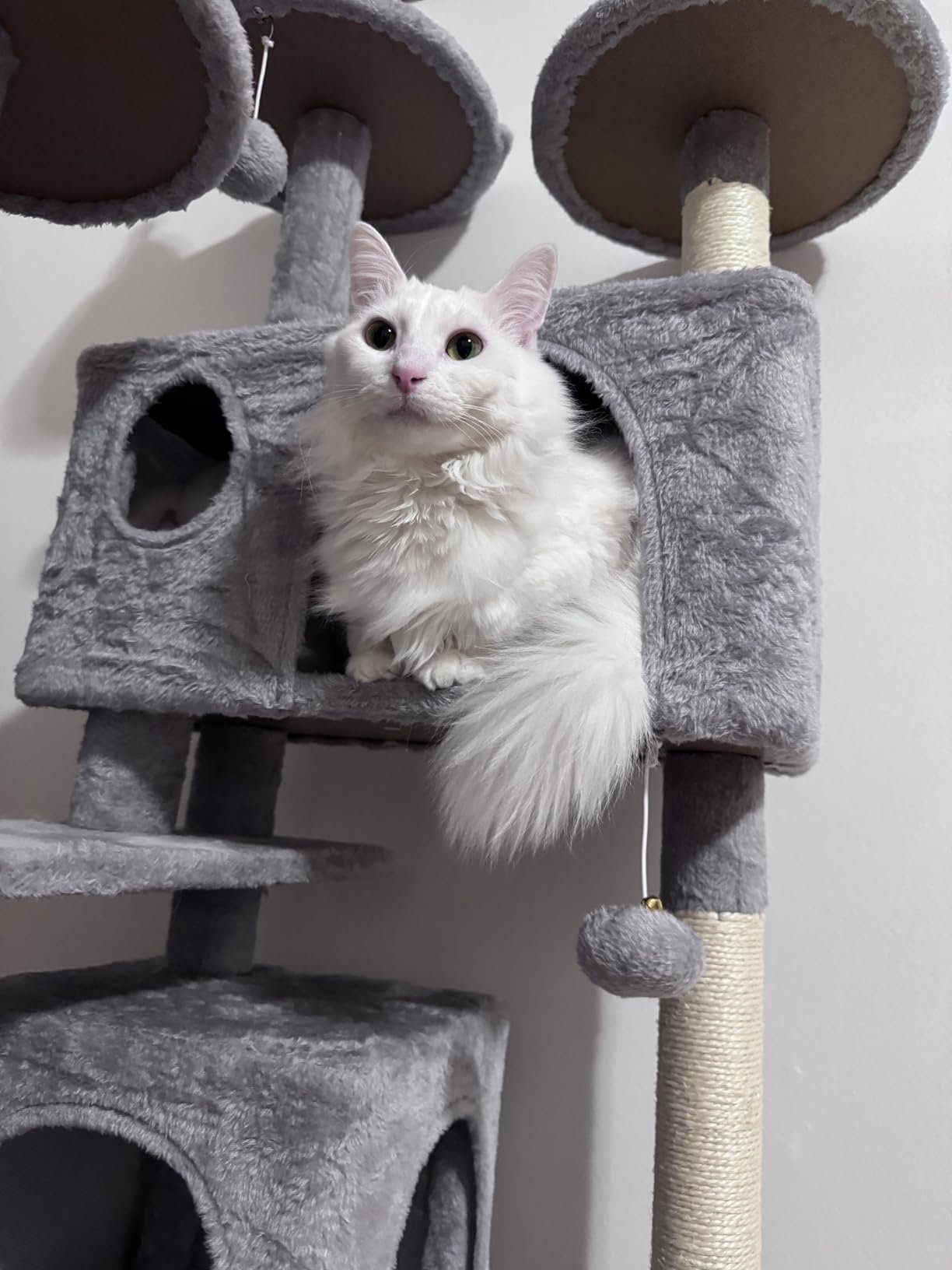 Yaheetech 54in Cat Tree. Multi-Level Cat Tower with Spacious Kitten-ear Perch. 2 Cozy Caves. Scratching Posts. Climbing Ladder. 2 Plush Balls. Durable Pet House Furniture for Indoor Kittens. Dark Gray photo review