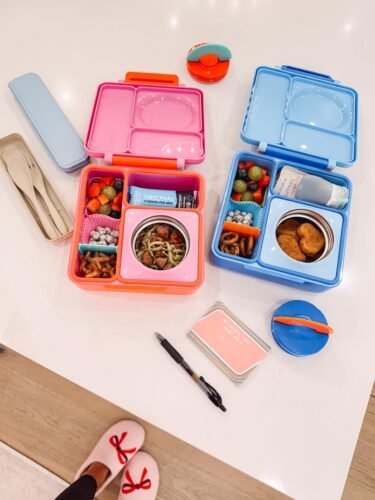 Omie OmieBox Bento Box for Kids - Insulated Lunch Box with Leak Proof Food Jar - 3 Compartments. 2 Temperature Zones - (Meadow) photo review