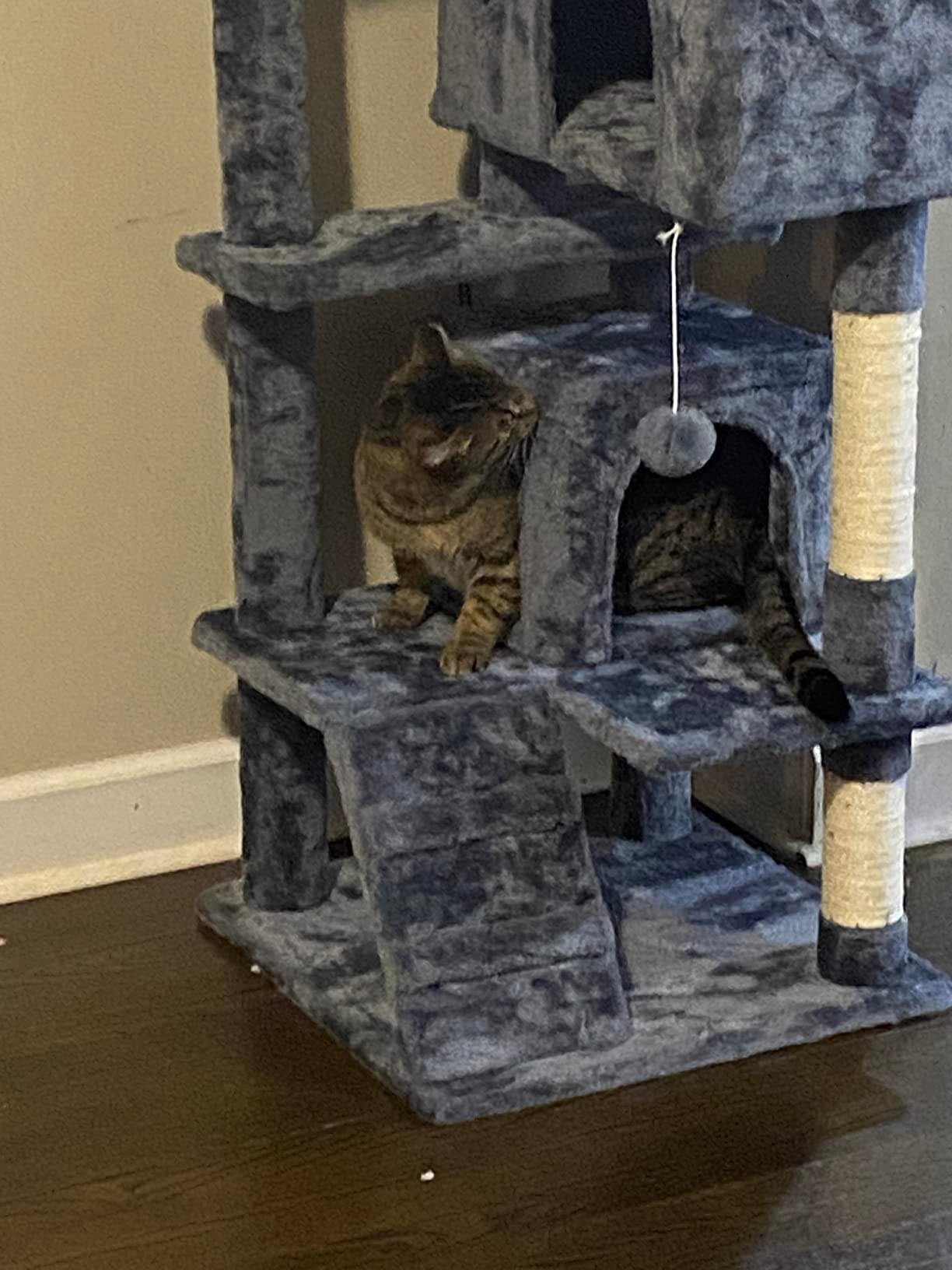 Yaheetech 54in Cat Tree. Multi-Level Cat Tower with Spacious Kitten-ear Perch. 2 Cozy Caves. Scratching Posts. Climbing Ladder. 2 Plush Balls. Durable Pet House Furniture for Indoor Kittens. Dark Gray photo review