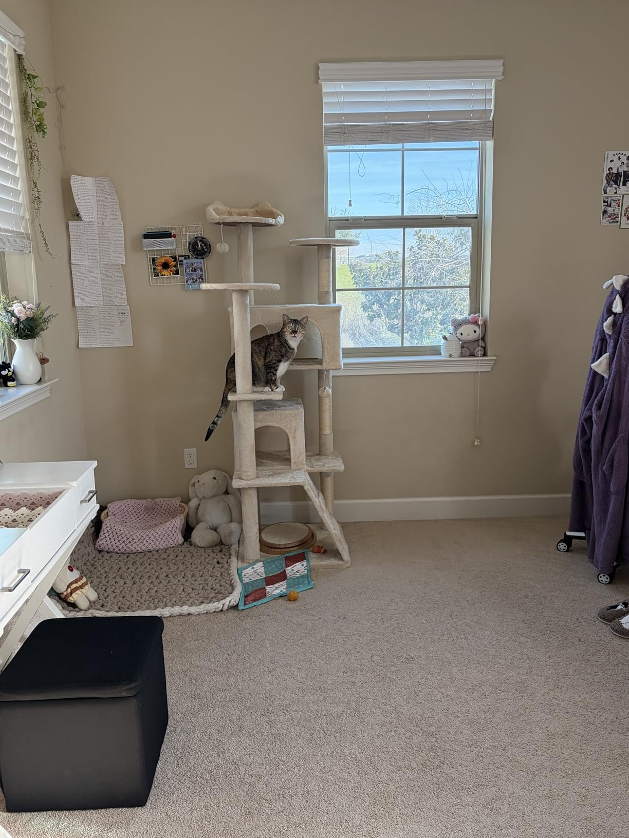 Yaheetech 54in Cat Tree. Multi-Level Cat Tower with Spacious Kitten-ear Perch. 2 Cozy Caves. Scratching Posts. Climbing Ladder. 2 Plush Balls. Durable Pet House Furniture for Indoor Kittens. Dark Gray photo review