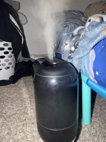 Dreo Smart Humidifiers for Bedroom. Top Fill 4L Supersized Humidifier Large Room with 28 dB. 36H Runtime. Touch/APP/Voice Control. Nightlight. Cool Mist Humidifiers for Baby. Plants. Indoor. Black photo review