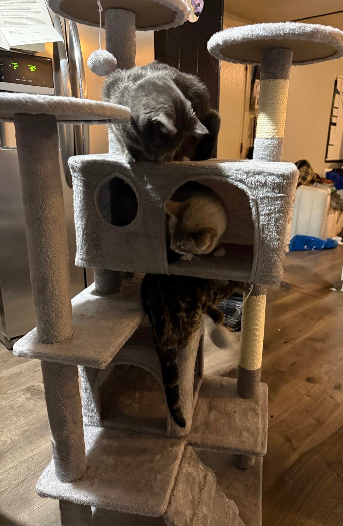 Yaheetech 54in Cat Tree. Multi-Level Cat Tower with Spacious Kitten-ear Perch. 2 Cozy Caves. Scratching Posts. Climbing Ladder. 2 Plush Balls. Durable Pet House Furniture for Indoor Kittens. Dark Gray photo review
