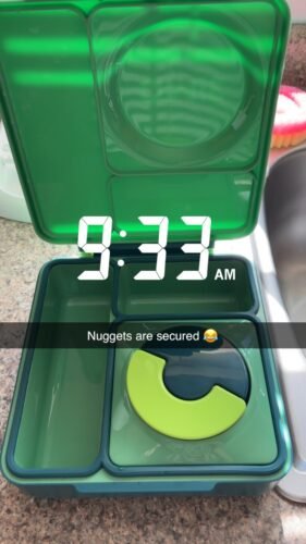 Omie OmieBox Bento Box for Kids - Insulated Lunch Box with Leak Proof Food Jar - 3 Compartments. 2 Temperature Zones - (Meadow) photo review